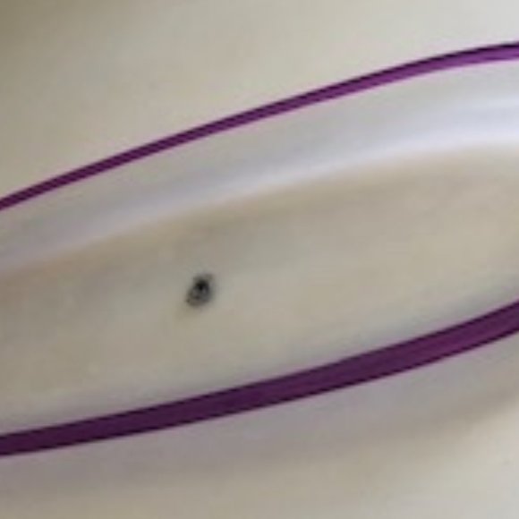 DIP PLATTER/GLASS PURPLE RIM - Picture 4 of 7